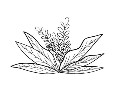 İzole edilmiş yaprak ikon vektör tasarımı