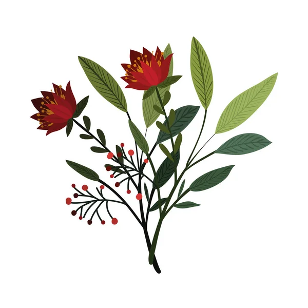 Diseño aislado vector flores de invierno — Archivo Imágenes Vectoriales