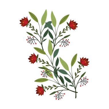 Ayrı kış çiçekleri vektör tasarımı