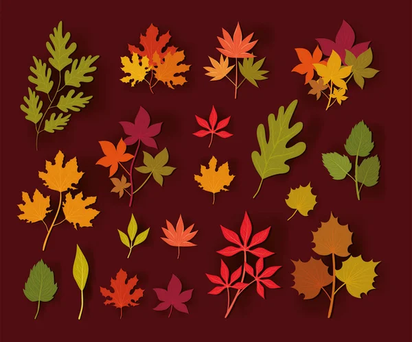 Conjunto de hojas de otoño vector de diseño — Archivo Imágenes Vectoriales