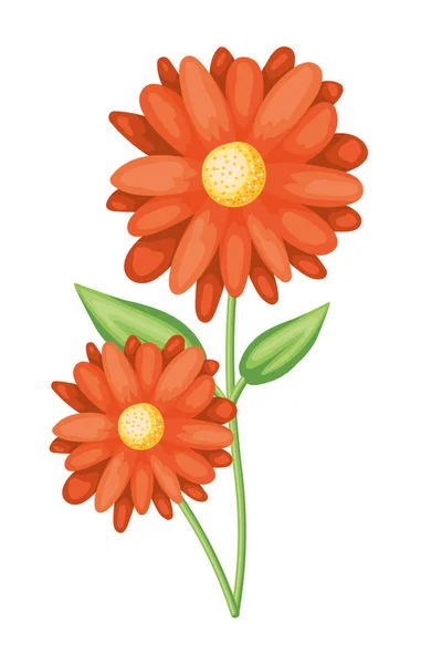 İzole çiçek süsleme vektör tasarımı — Stok Vektör