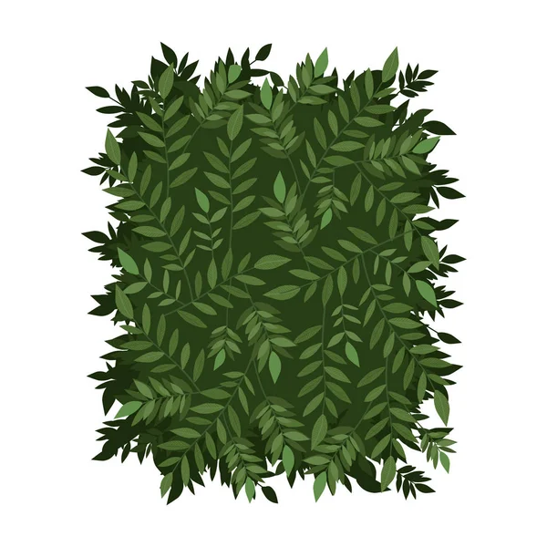 Green leaves frame vector design — Stock Vector