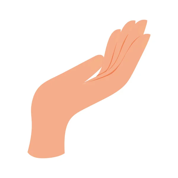 Diseño de vector de icono de señal de mano aislada — Vector de stock