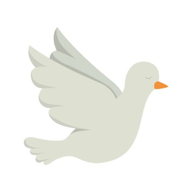 İzole güvercin kuş vektör tasarımı