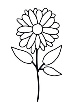 İzole çiçek süsleme vektör tasarımı