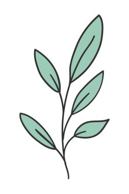 İzole edilmiş yaprak bitki vektör tasarımı