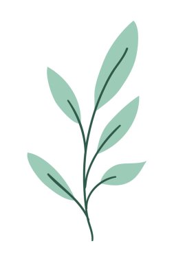 İzole edilmiş yaprak bitki vektör tasarımı