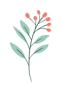 İzole edilmiş yaprak bitki vektör tasarımı