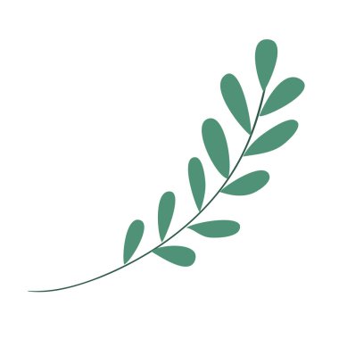 İzole edilmiş yaprak bitki vektör tasarımı