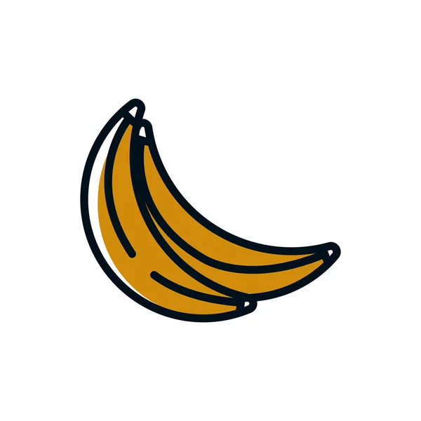 Desenho isolado de vetor de frutos de banana — Vetor de Stock