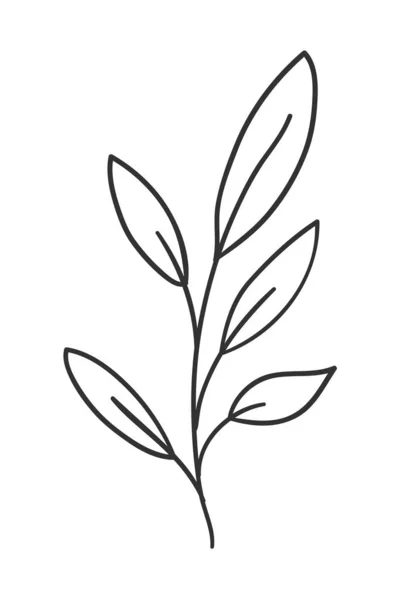 외딴곳의 잎 식물 벡터 설계 — 스톡 벡터