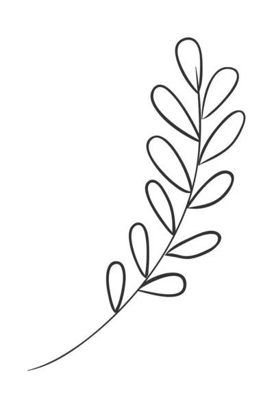 分離葉植物ベクトル設計 — ストックベクタ