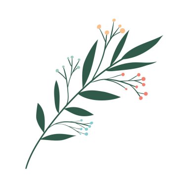 İzole edilmiş yaprak bitki vektör tasarımı