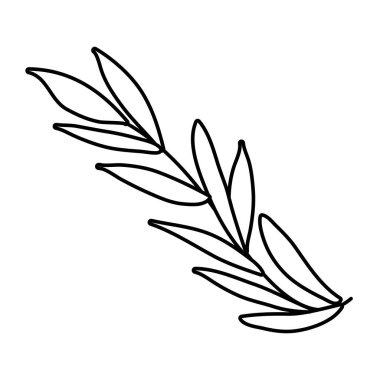 İzole edilmiş yaprak ikonu vektör tasarımı