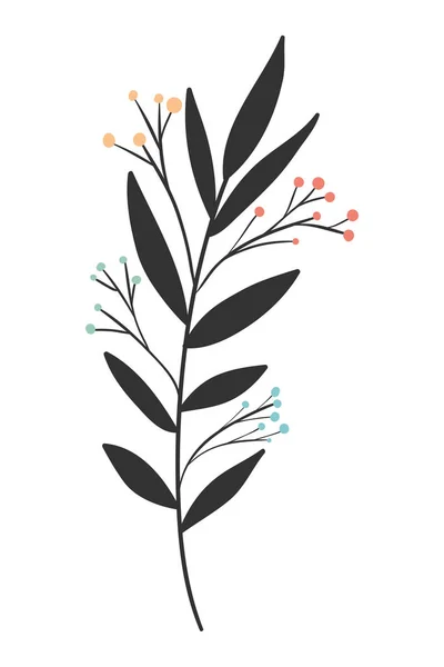 分離葉植物ベクトル設計 — ストックベクタ