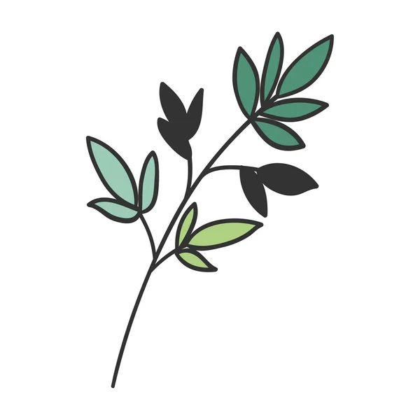 Векторная конструкция листового растения — стоковый вектор