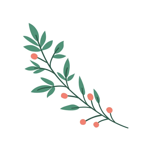 Geïsoleerde blad plant vector ontwerp — Stockvector