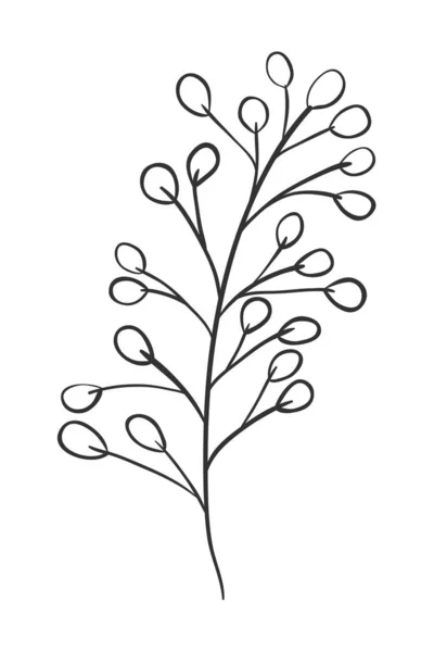 Conception de vecteurs de plantes à feuilles isolées — Image vectorielle