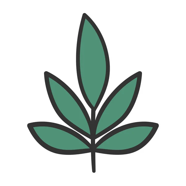 Векторная конструкция листового растения — стоковый вектор