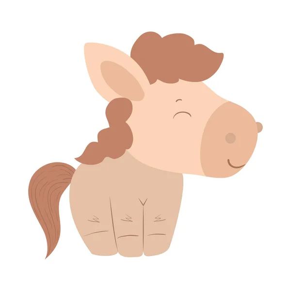 Diseño de vectores de dibujos animados caballo lindo aislado — Vector de stock