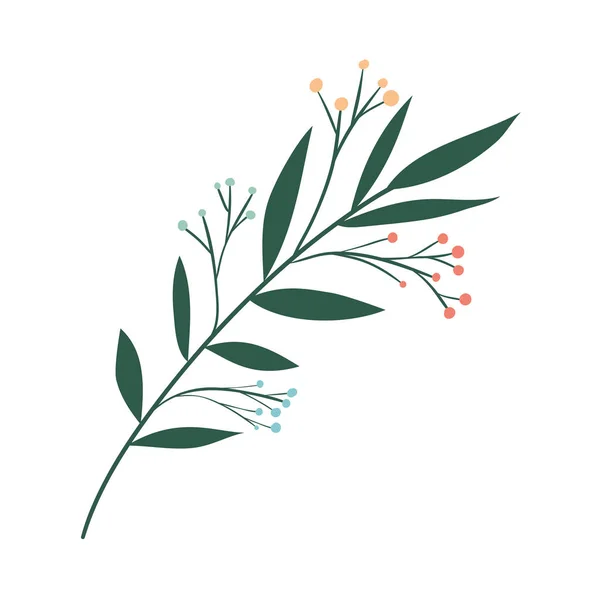 Geïsoleerde blad plant vector ontwerp — Stockvector