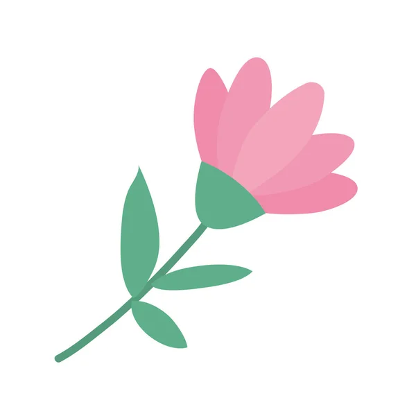 Izolovaná růžová květinová ornament s listy vektorový design — Stockový vektor