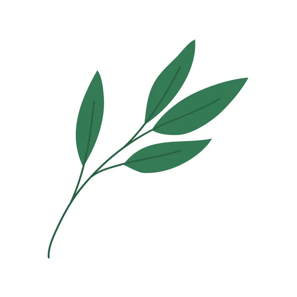 격리 된 녹색 잎 아이콘 벡터 디자인 — 스톡 벡터