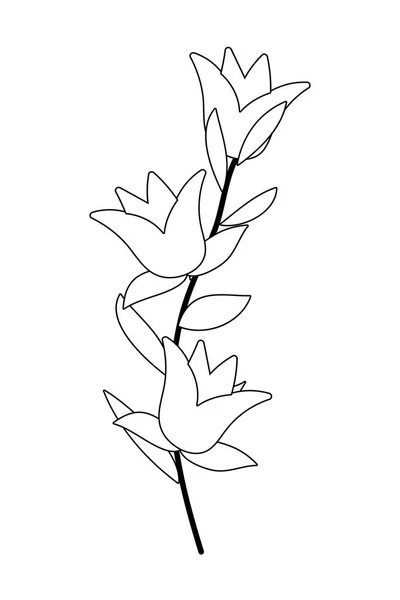 Fleurs isolées avec dessin vectoriel de feuilles — Image vectorielle