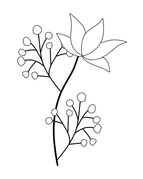 Isolated flower ornament with leaves vector design — Stock Vector