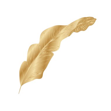 İzole edilmiş tropikal altın yaprak vektör tasarımı