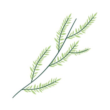 İzole edilmiş yaprak bitki vektör tasarımı