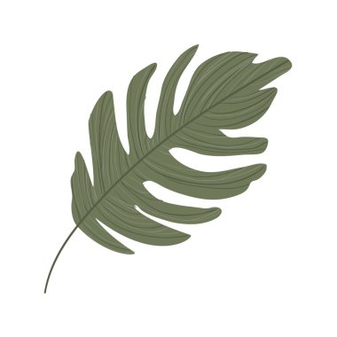 İzole edilmiş tropikal yeşil yaprak vektör tasarımı