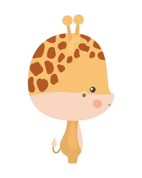Cute żyrafa wektor kreskówki projekt — Wektor stockowy