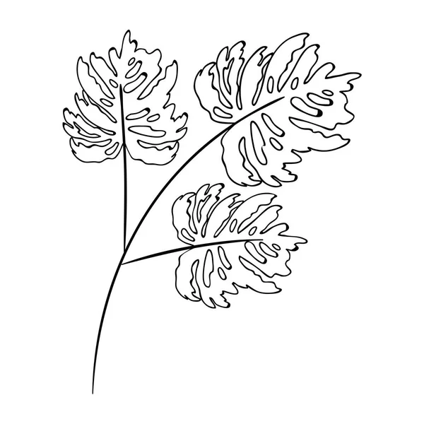 Diseño aislado de vectores de hojas tropicales — Archivo Imágenes Vectoriales