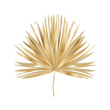 İzole edilmiş tropikal altın yaprak vektör tasarımı