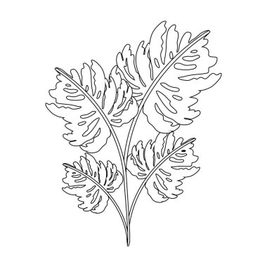 İzole tropikal yapraklar vektör tasarımı