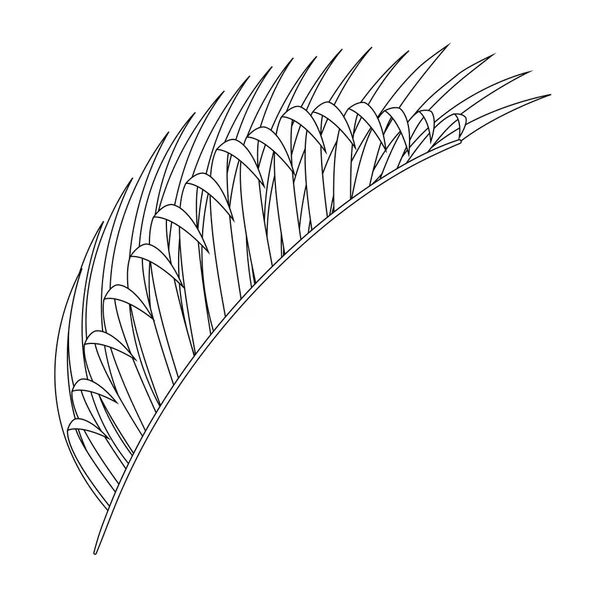 Conception isolée de vecteurs de feuilles tropicales — Image vectorielle