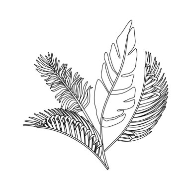 İzole tropikal yapraklar vektör tasarımı