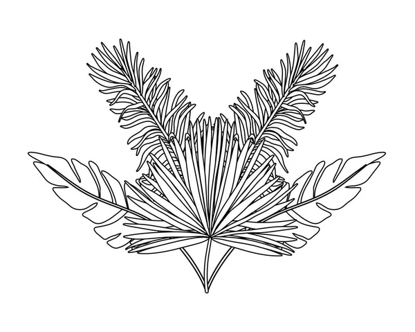 Ізольовані тропічні листя Векторний дизайн — стоковий вектор