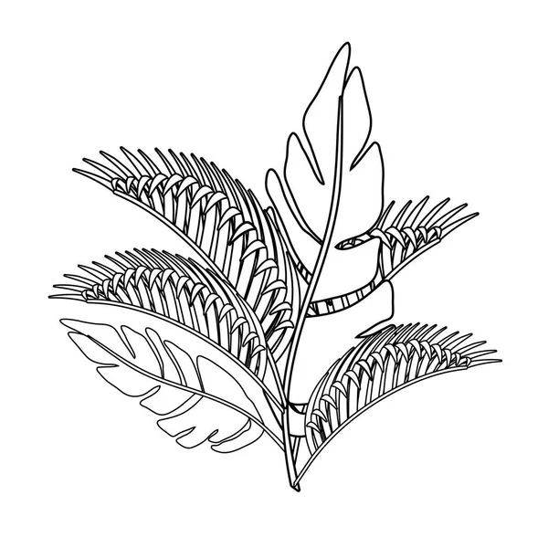 Ізольовані тропічні листя Векторний дизайн — стоковий вектор