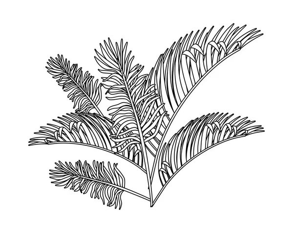 Feuilles tropicales isolées conception vectorielle — Image vectorielle