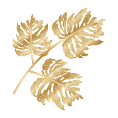 İzole edilmiş tropikal altın yaprak vektör tasarımı