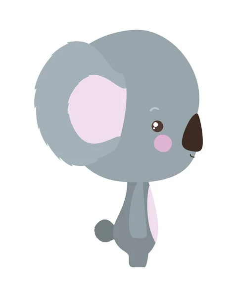 Cute koala cartoon vector design — Stock Vector
