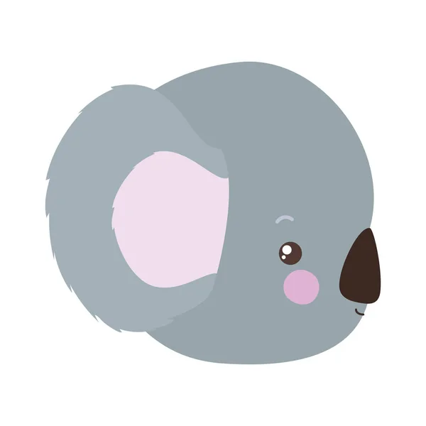 Lindo diseño de vectores de dibujos animados koala — Archivo Imágenes Vectoriales