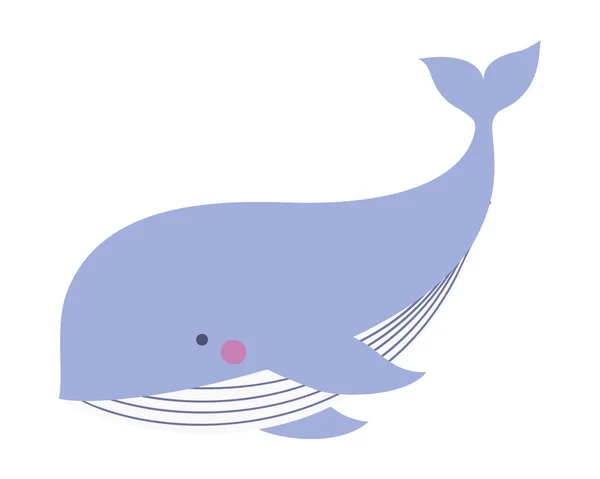 Lindo diseño de vectores de dibujos animados ballena — Vector de stock