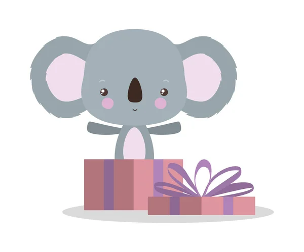 Koala lindo con diseño de vectores de regalo — Archivo Imágenes Vectoriales
