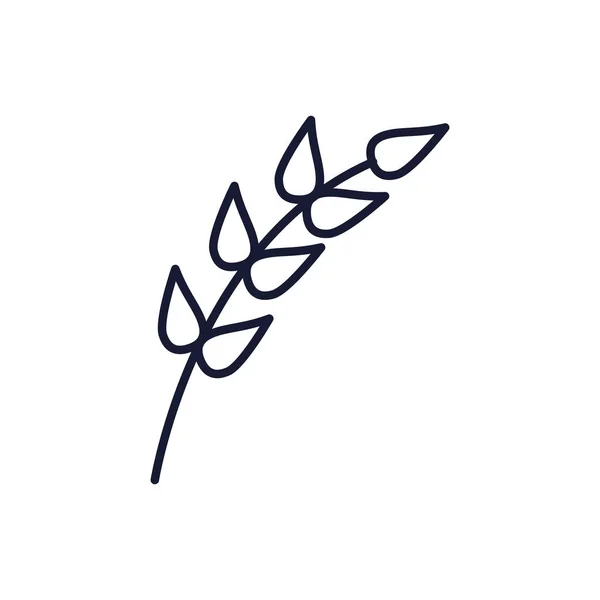 외따로 떨어진 천연 잎 벡터 디자인 — 스톡 벡터