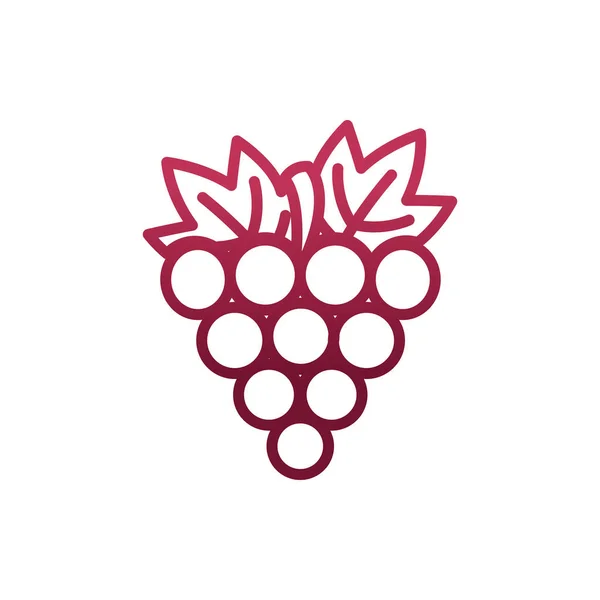 Conception de vecteur de fruits de raisin isolé — Image vectorielle