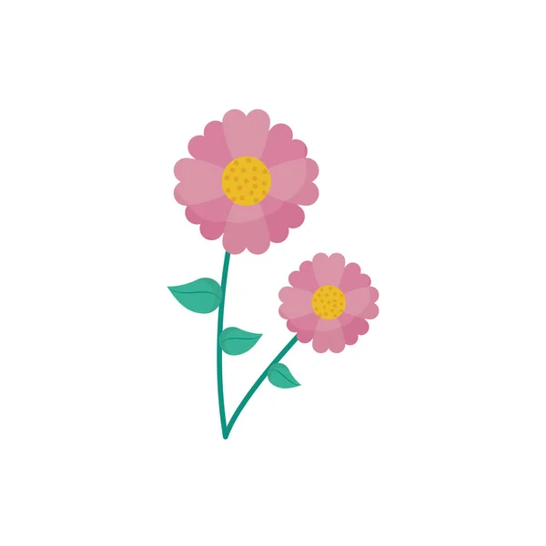 Diseño vectorial de flores rosadas naturales aisladas — Vector de stock