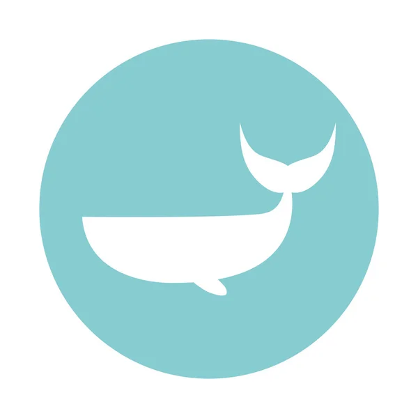 Geïsoleerde walvis blok stijl icoon vector ontwerp — Stockvector